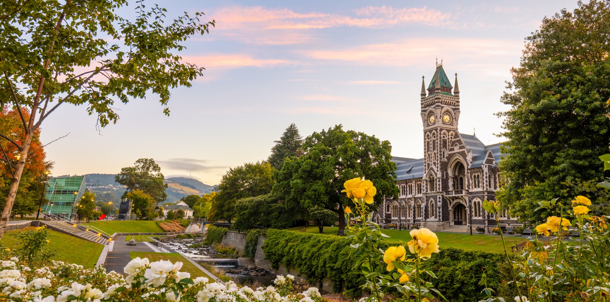 University of Otago banner